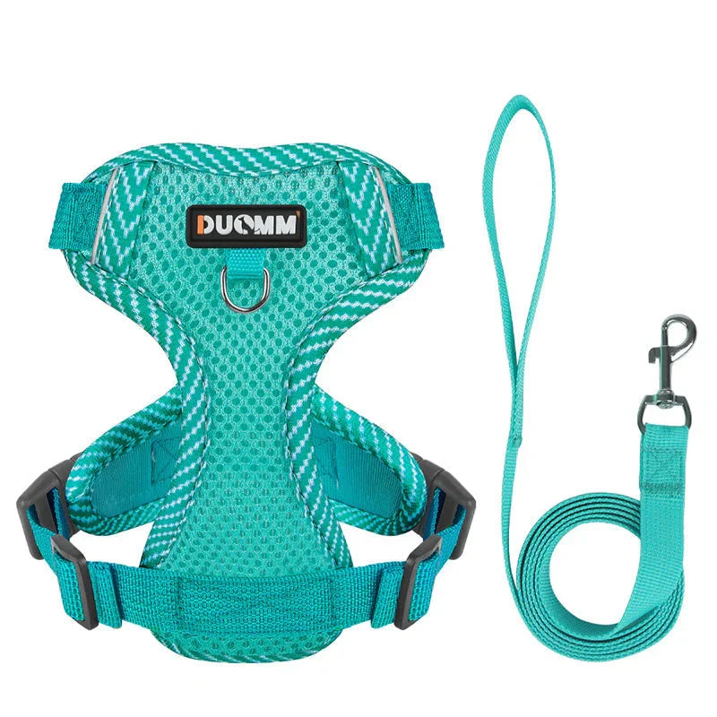 Reflective Dog Harness and Leash Set for Small Dogs – SafeStep