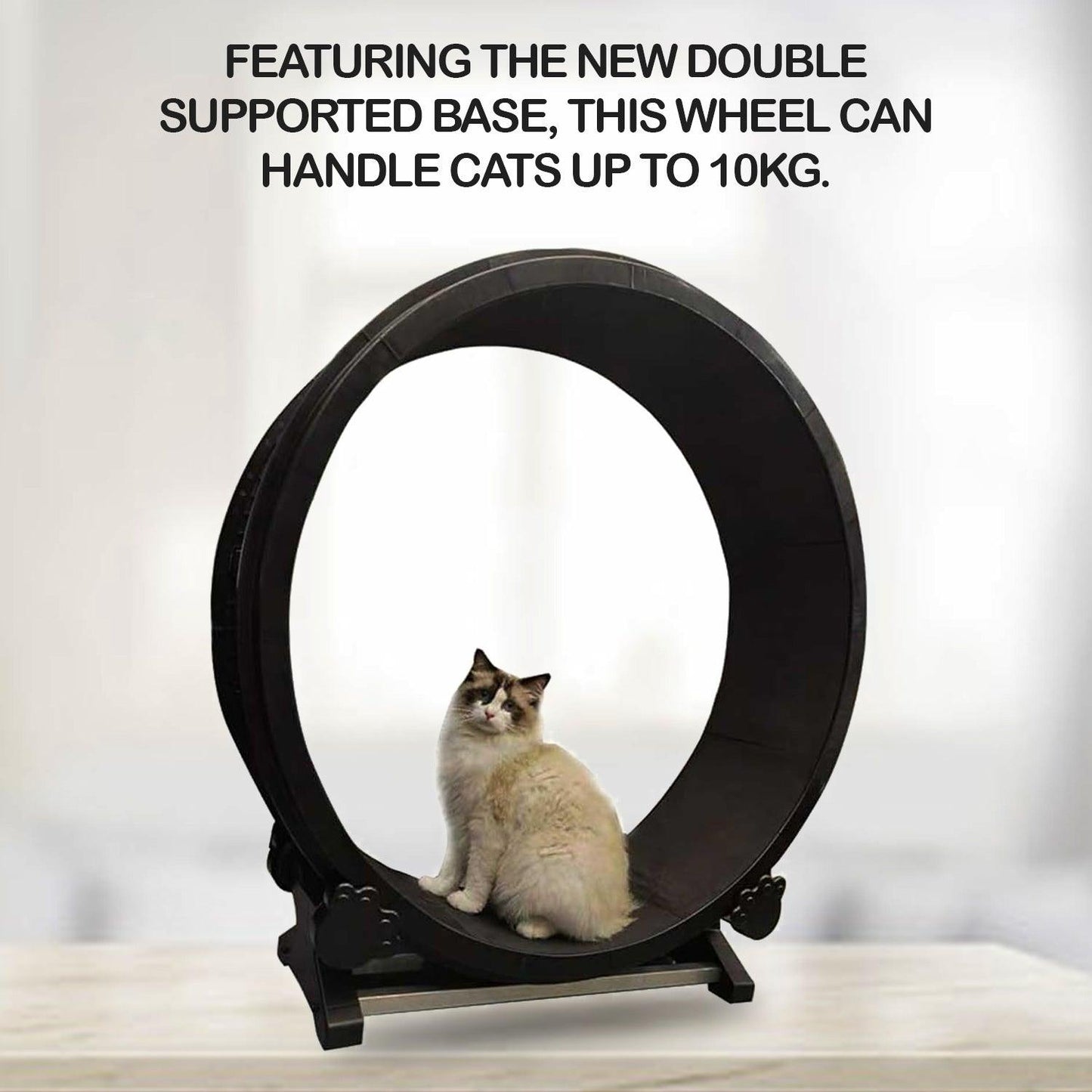 Cat Wheel Exercise - 7th Gen Cat Treadmill Cat Running Wheel Silent Movement Cat Toy