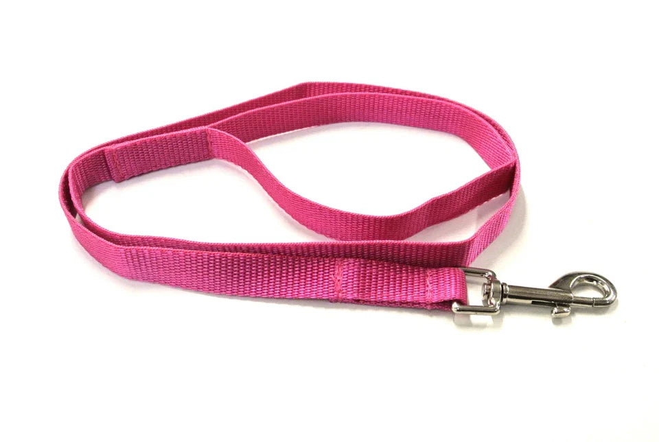 Dog Running Leash - 45" Puppy Small Dog Walking Lead 13mm Wide Strong Durable Webbing