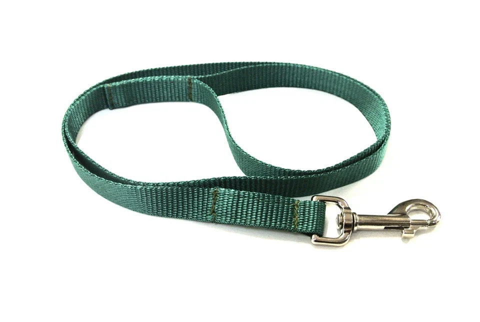 Dog Running Leash - 45" Puppy Small Dog Walking Lead 13mm Wide Strong Durable Webbing