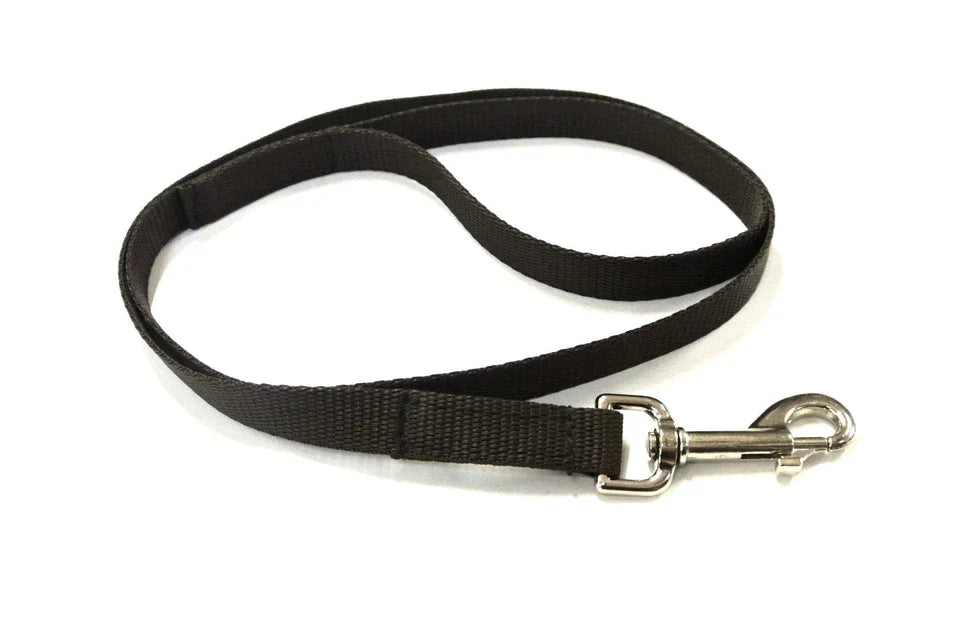 Dog Running Leash - 45" Puppy Small Dog Walking Lead 13mm Wide Strong Durable Webbing