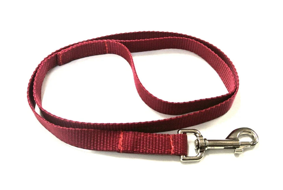 Dog Running Leash - 45" Puppy Small Dog Walking Lead 13mm Wide Strong Durable Webbing