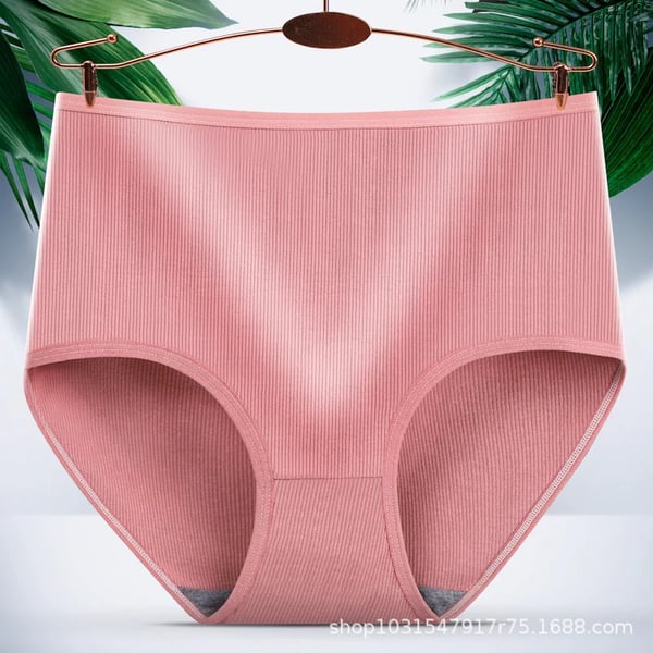 🌼High Waist Absorbent Pants For Women💐