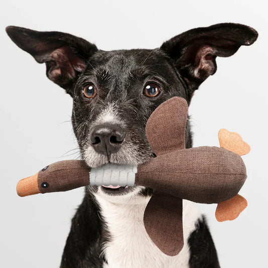 Dog Toy (1+1 FREE) – StarkGans