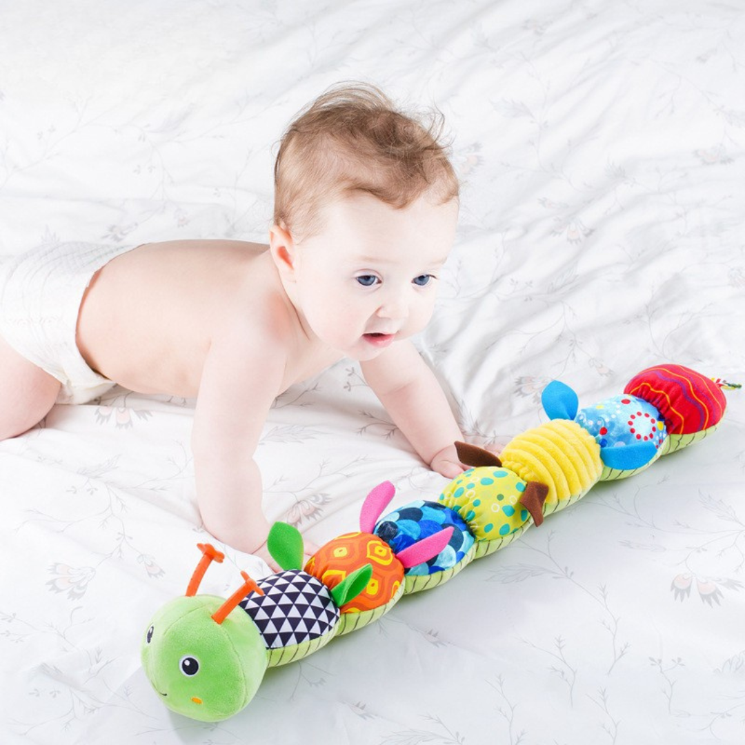 Sensory plush rattle and music caterpillar