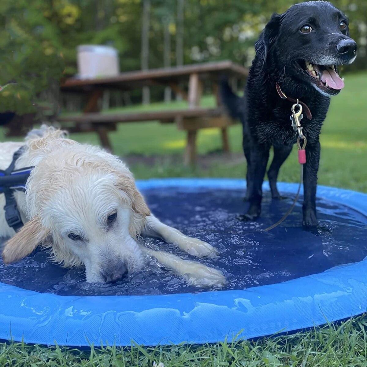 Durable Dog fountain - summer toy
