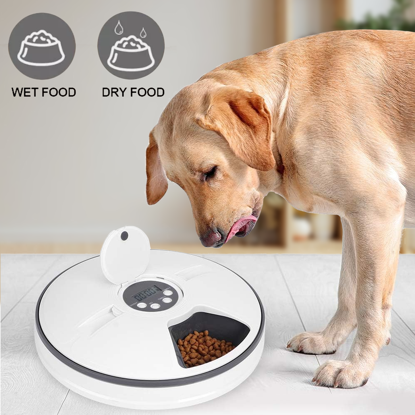 Timed Pet Feeder – Automatic & Scheduled Meal Dispenser for Healthy Pet Feeding