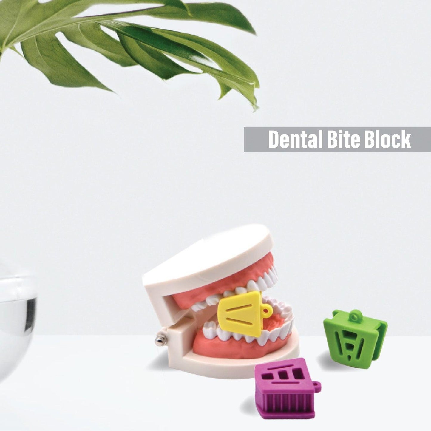 Dental Bite Block - 3 pcs Dental Silicone Occlusal Pad Rubber Bite Blocks Mouth Prop