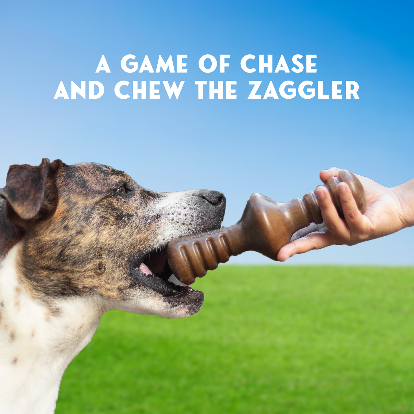 Dog Chew Toy – Tough Rubber Bone for Aggressive Chewers, Dental Care & Play