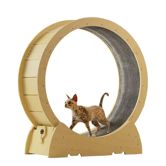 Cat Running Wheel - Large Cat Exercise Wheel Cat Treadmill Silent Movement Cat Toy