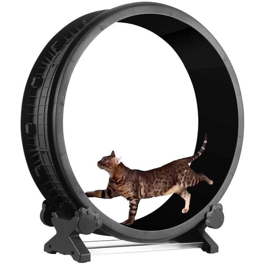 Cat Wheel Exercise -  7th Gen Cat Treadmill Cat Running Wheel Silent Movement Cat Toy