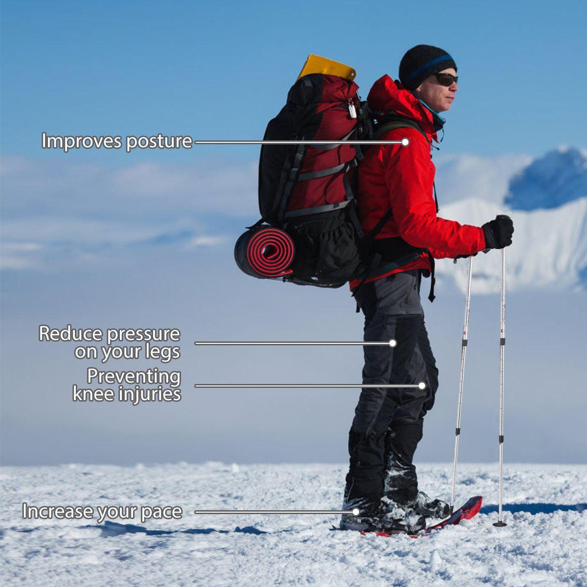 Adjustable Hiking Pole - Telescopic Walking Poles Set 3-Section Anti Shock Trekking Stick
