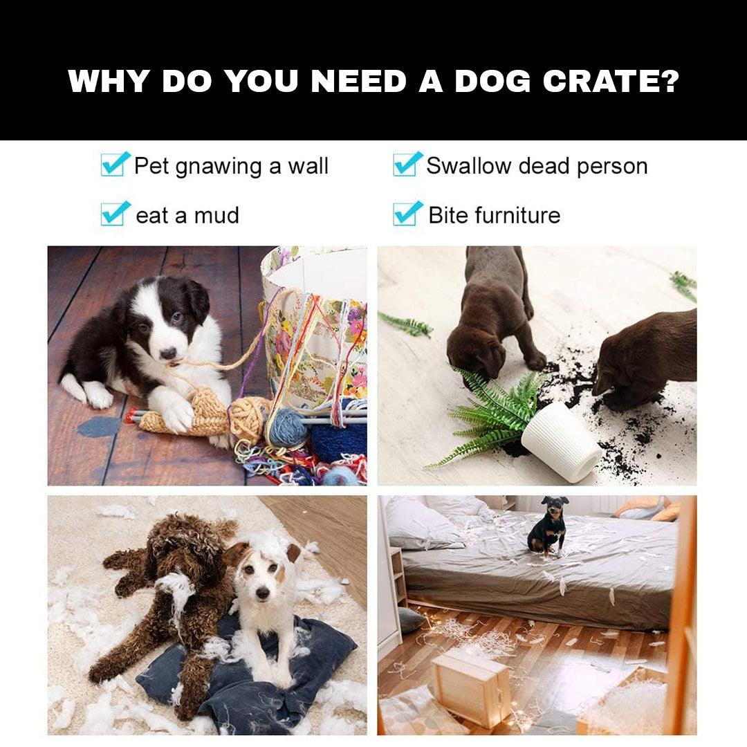 Metal Cages for Dogs - Dog Cage Puppy Pet Crate Carrier