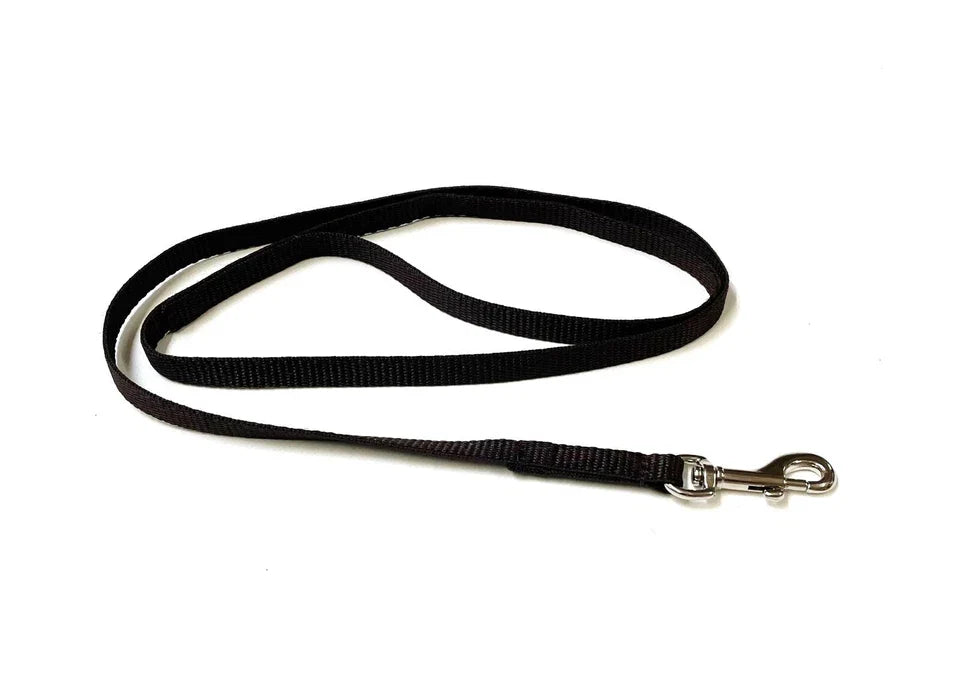 Dog Running Leash - 45" Puppy Small Dog Walking Lead 13mm Wide Strong Durable Webbing