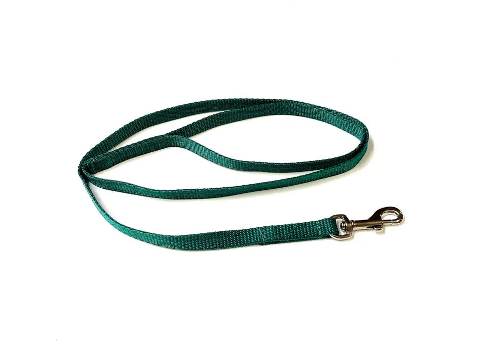 Dog Running Leash - 45" Puppy Small Dog Walking Lead 13mm Wide Strong Durable Webbing