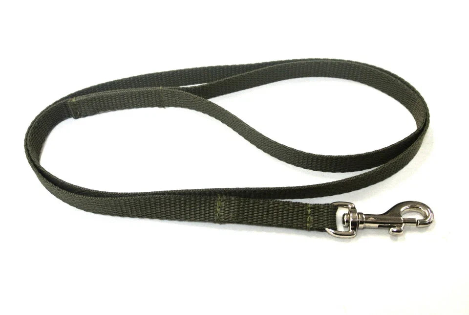 Dog Running Leash - 45" Puppy Small Dog Walking Lead 13mm Wide Strong Durable Webbing