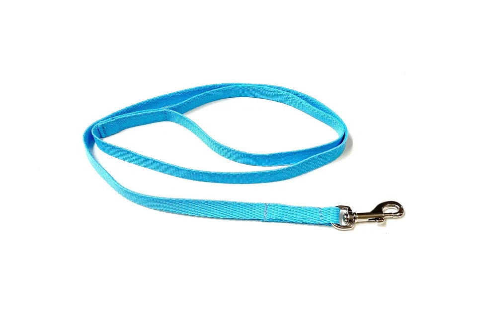 Dog Running Leash - 45" Puppy Small Dog Walking Lead 13mm Wide Strong Durable Webbing