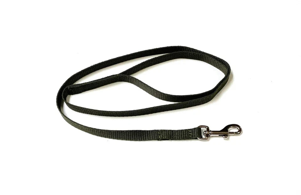 Dog Running Leash - 45" Puppy Small Dog Walking Lead 13mm Wide Strong Durable Webbing