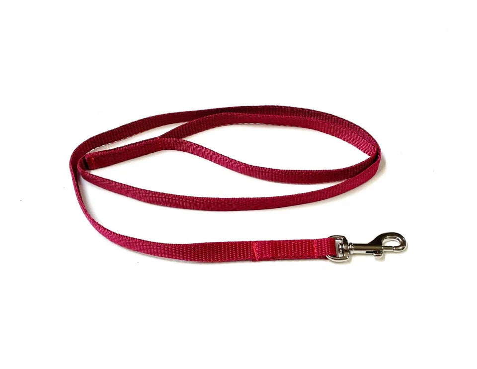 Dog Running Leash - 45" Puppy Small Dog Walking Lead 13mm Wide Strong Durable Webbing