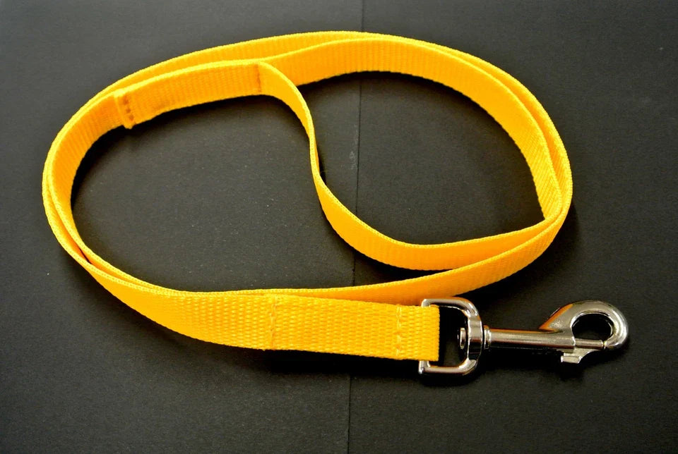Dog Running Leash - 45" Puppy Small Dog Walking Lead 13mm Wide Strong Durable Webbing