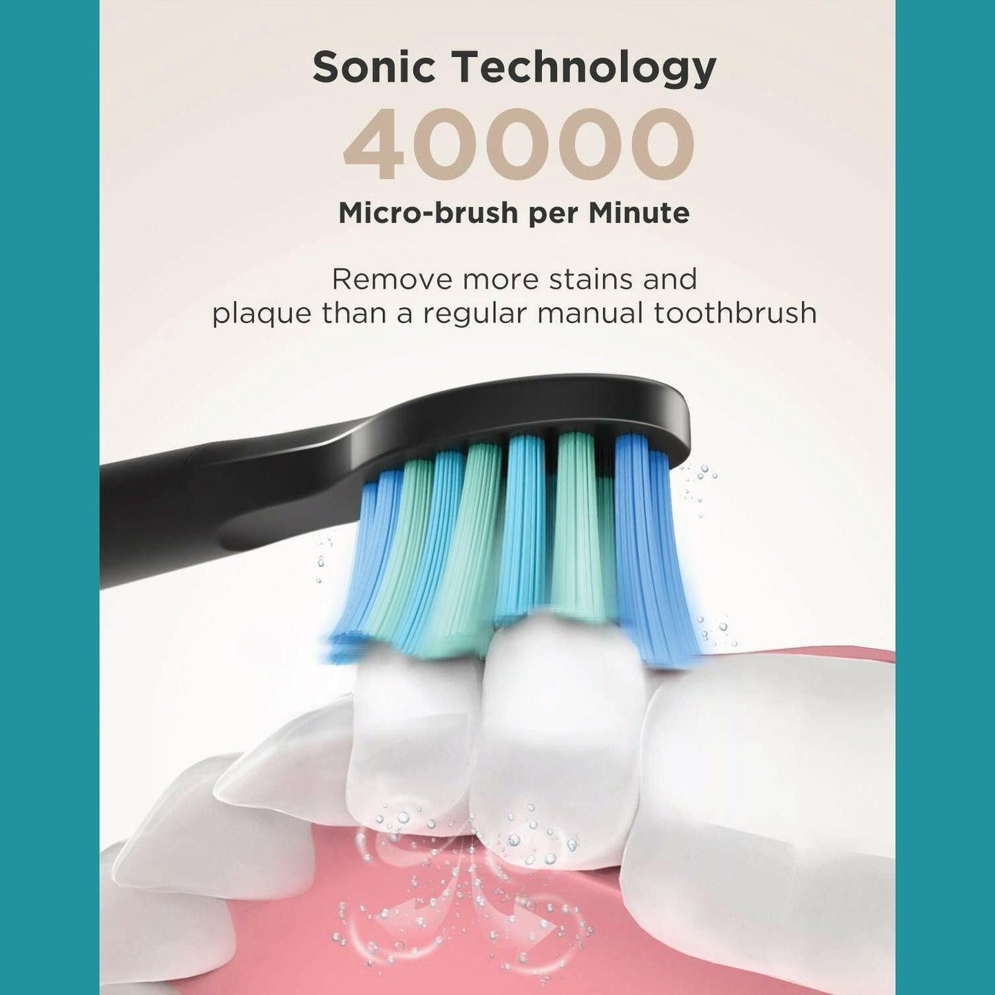 Rechargeable Power Toothbrush - 4/12X Brush Heads Electric Toothbrush Power Toothbrush ADA Accepted