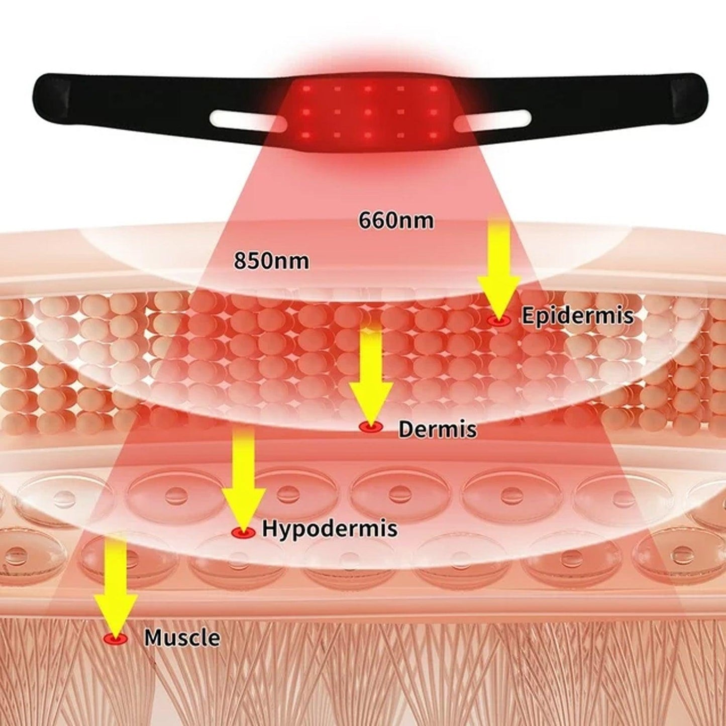 Red Light Therapy Belt - 660nm & 880nm IR Light Therapy Device For Facial Lifting Slim Chin