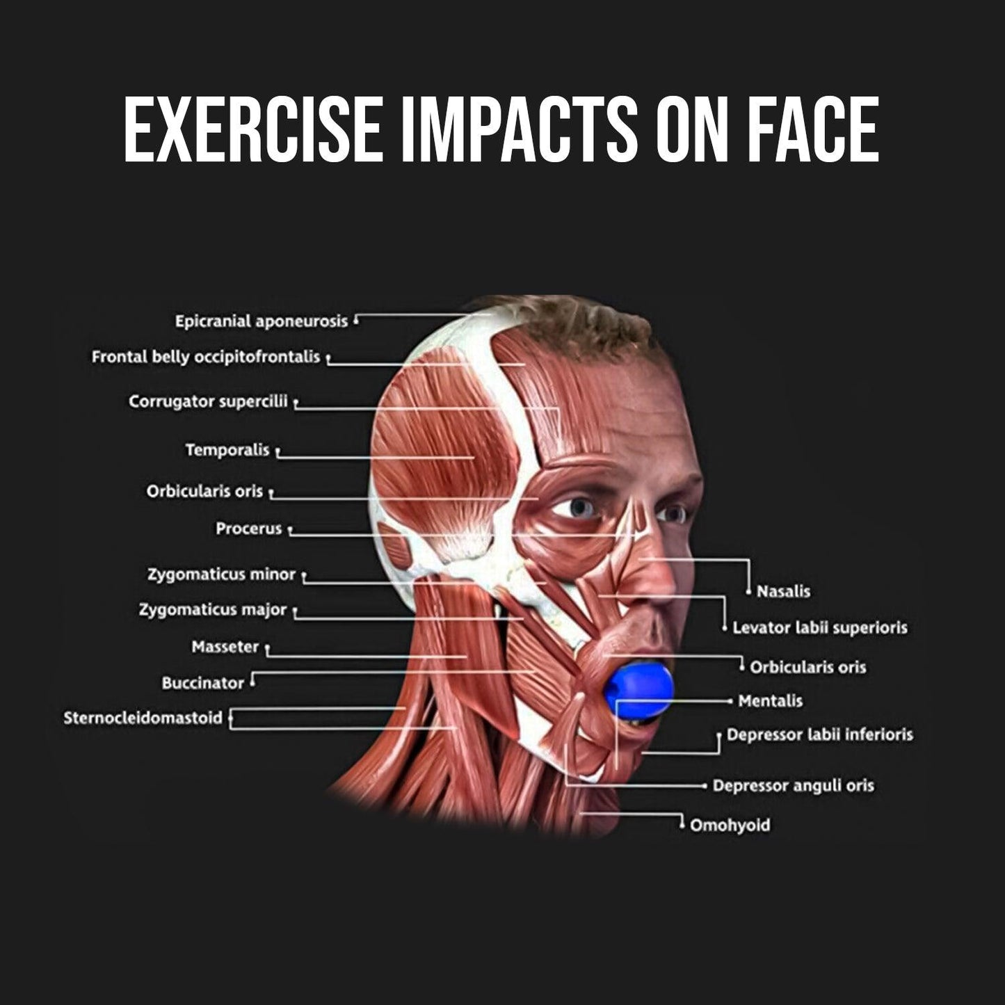 Jawline Workout Tool -  Jaw Trainer Silica Gel Jaw Line Jaw Exerciser Face Neck Mouth Toning Jawrsize Training Ball