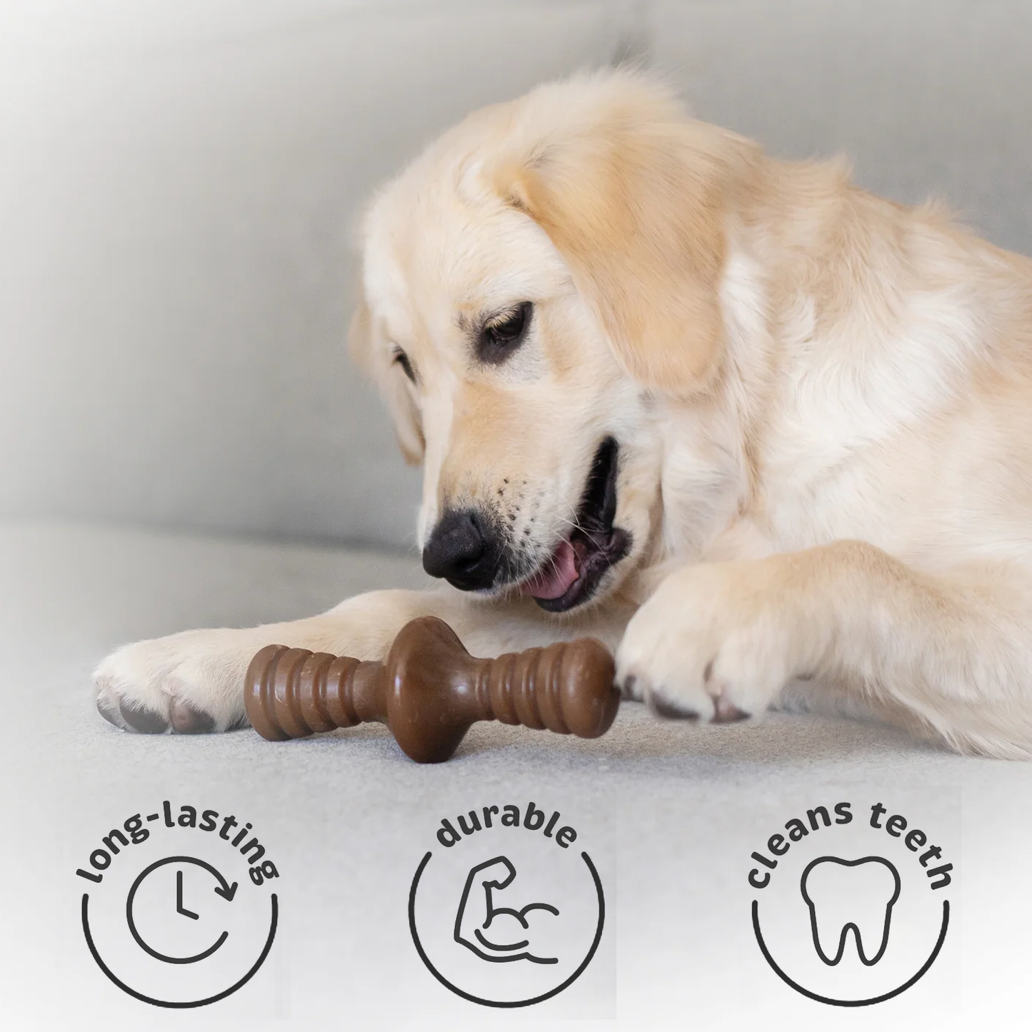 Dog Chew Toy – Tough Rubber Bone for Aggressive Chewers, Dental Care & Play