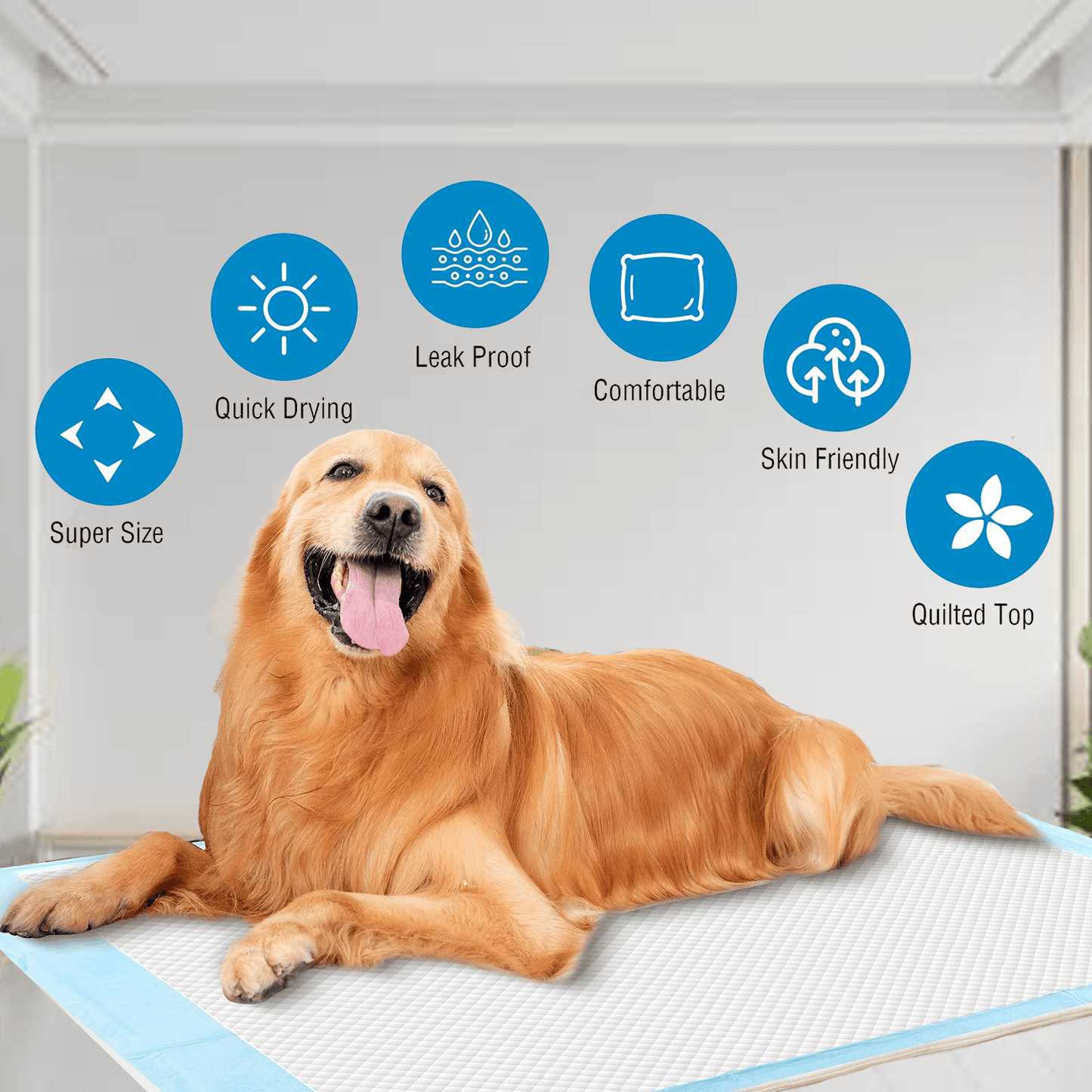 Pet Toilet Training Pads – 100pcs Super Absorbent Puppy Masts for Indoor & Outdoor Use