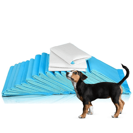 Pet Toilet Training Pads – 100pcs Super Absorbent Puppy Masts for Indoor & Outdoor Use