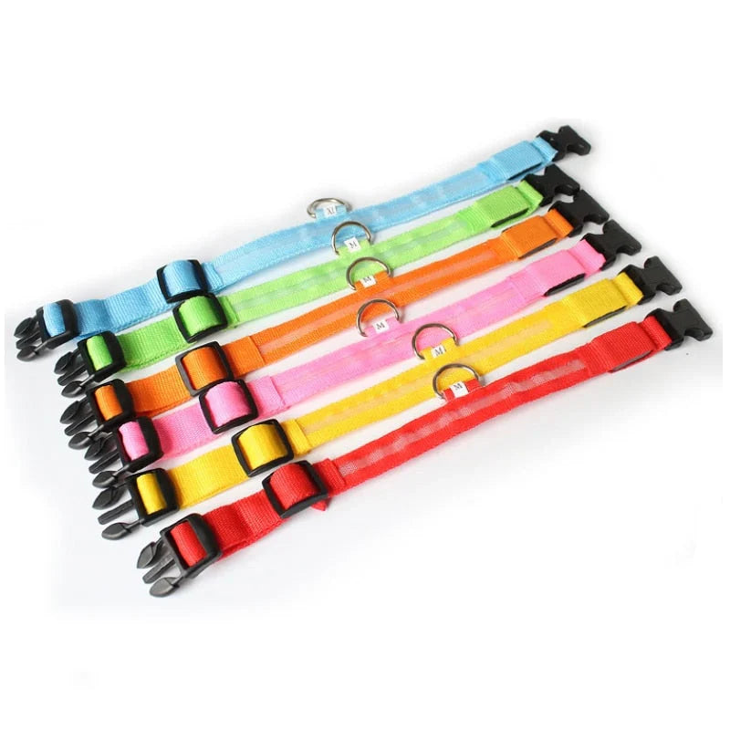 GlowCollar LED – BrightPaws