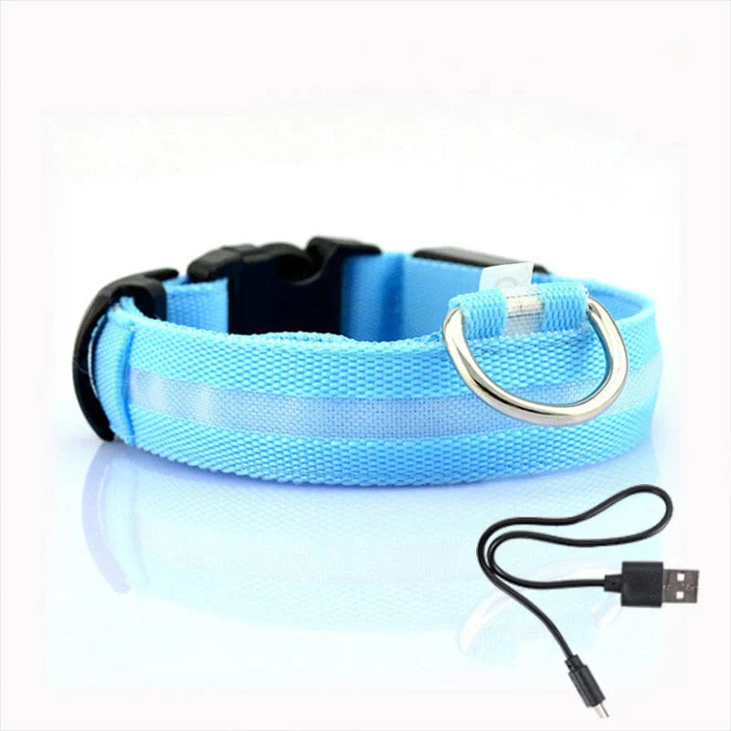 GlowCollar LED – BrightPaws