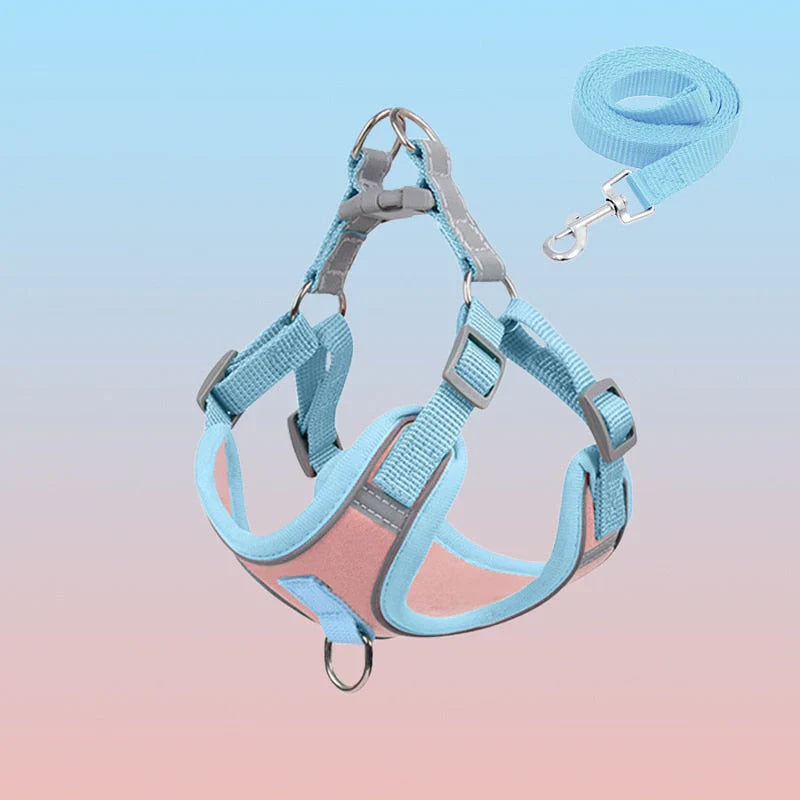 Reflective Puppy Harness – PawSafe