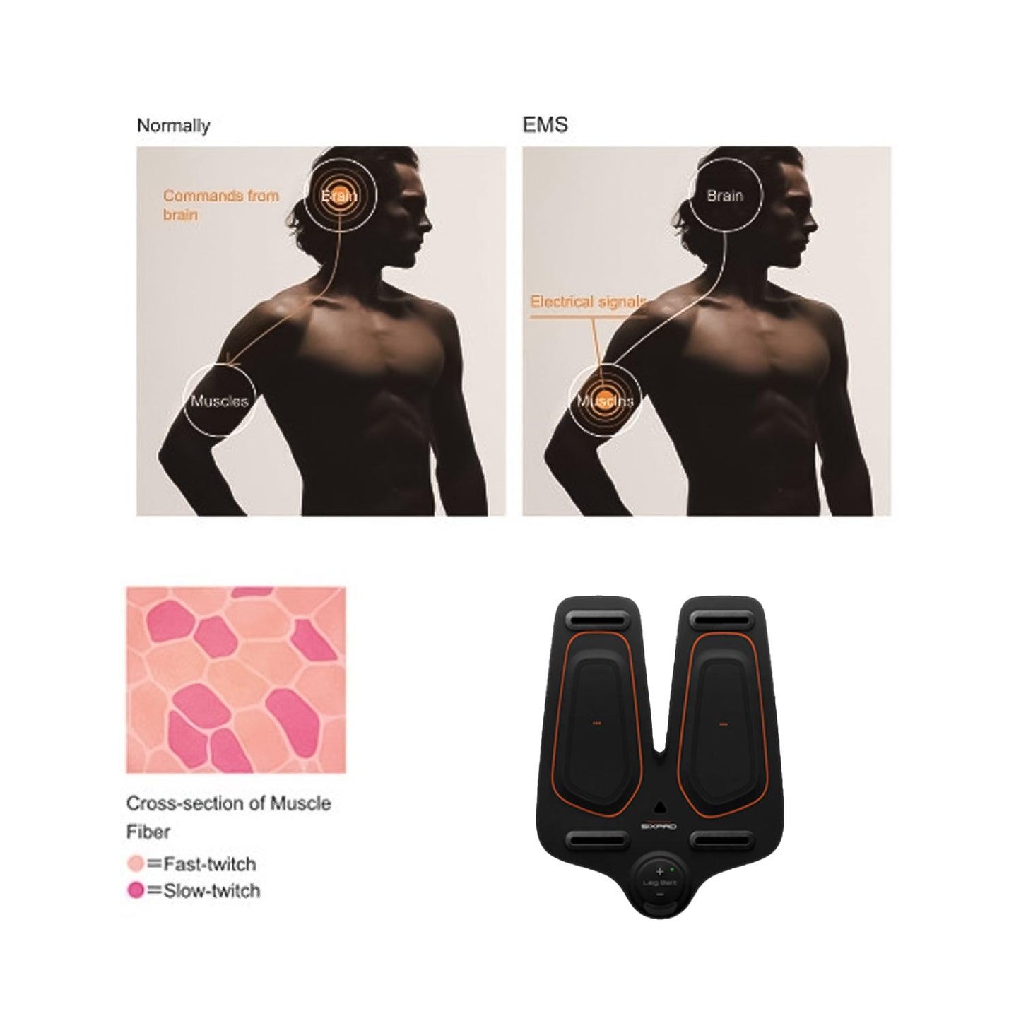 Electric Muscle Stimulator - Sixpad Training Gear Leg Belt Unisex Ems Muscle Stimulator Training Fitnesses