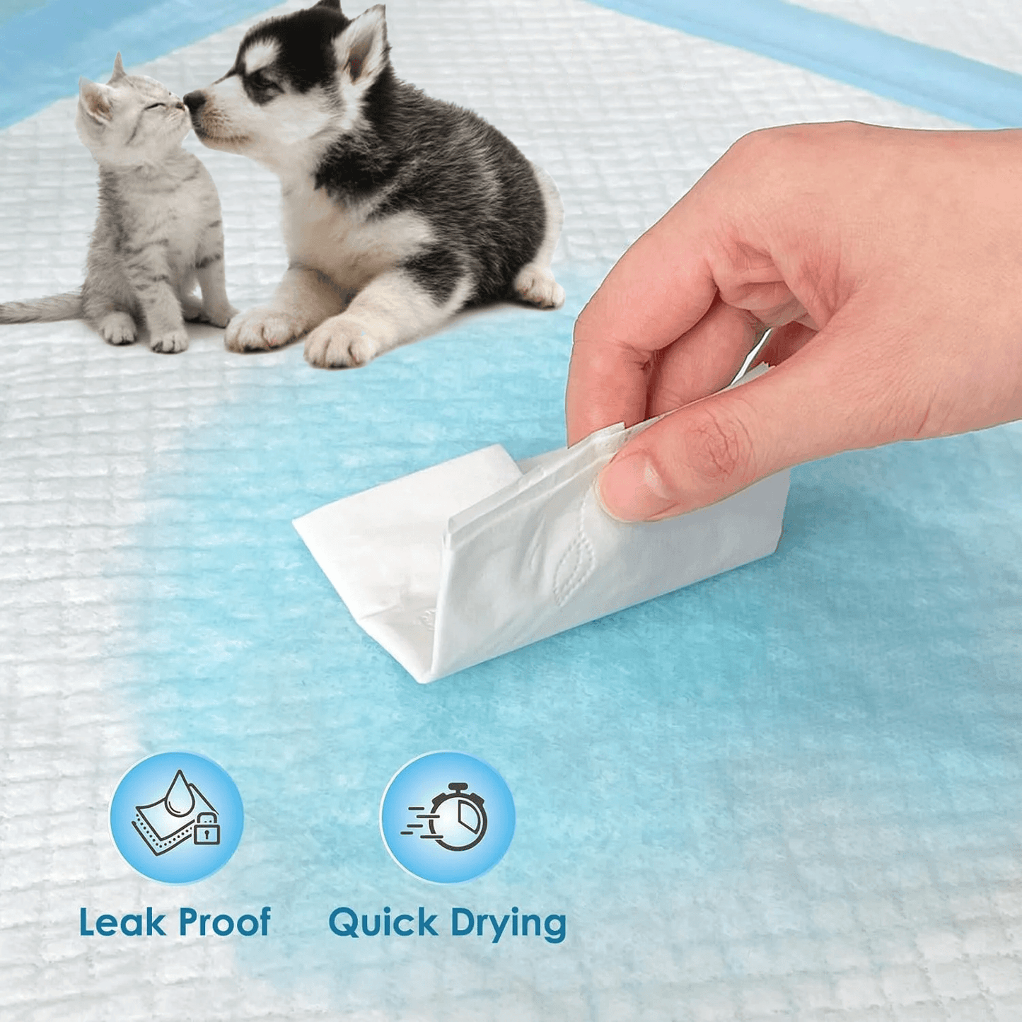 Pet Toilet Training Pads – 100pcs Super Absorbent Puppy Masts for Indoor & Outdoor Use