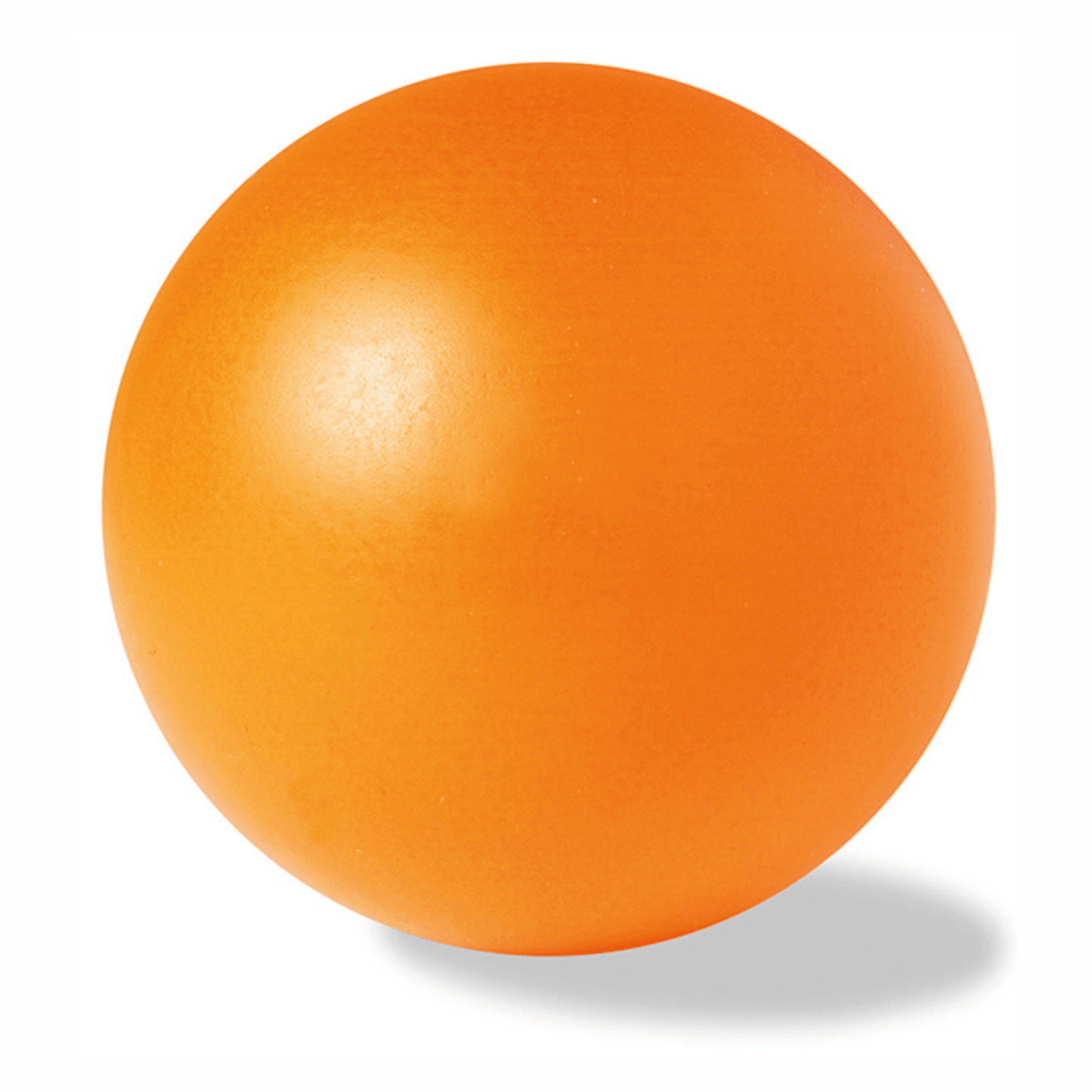 Gym Balls for Pregnancy - 25cm Yoga Ball Pilates Balls Fitness Anti Burst Balance Pregnancy Exercise Balls