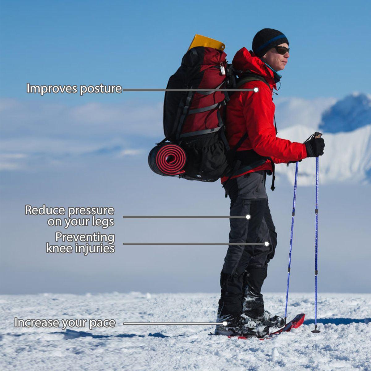 Adjustable Hiking Pole - Telescopic Walking Poles Set 3-Section Anti Shock Trekking Stick