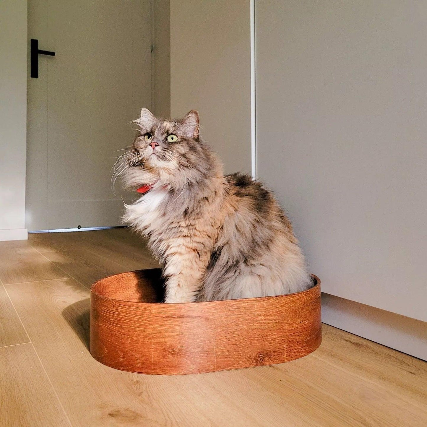 Cat Scratching Cardboard - 3 Replacacle board Corrugated Cardboard Scratch Pad