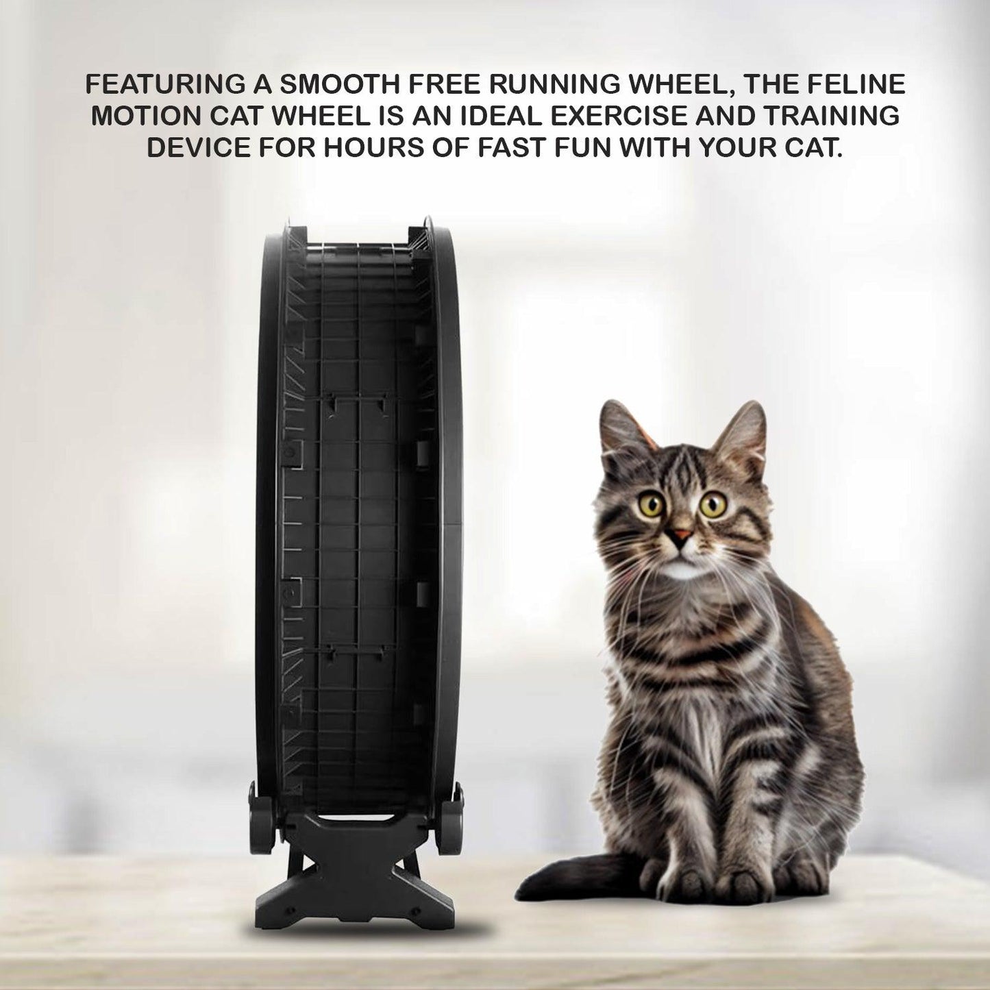 Cat Wheel Exercise -  7th Gen Cat Treadmill Cat Running Wheel Silent Movement Cat Toy