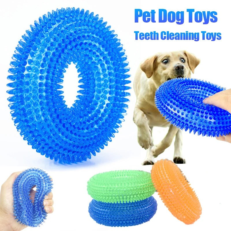 Dog Chew Toy with Thorns and Hooks