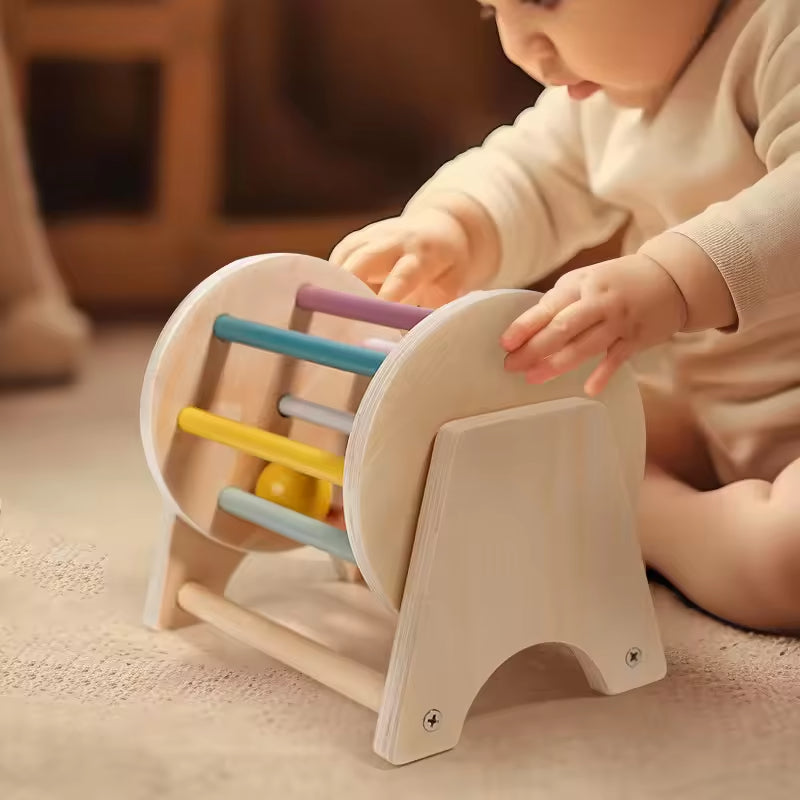 Montessori Wooden Carousel with Balls for Toddlers