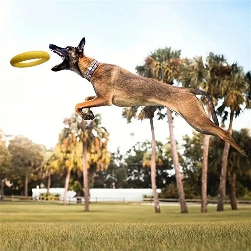 Flying Disc Training Ring Puller
