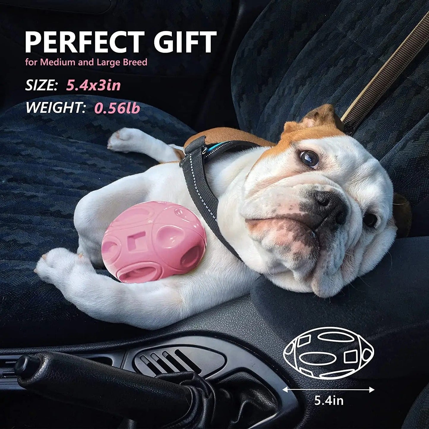 Squeaky Dog Toys for Aggressive Chewers