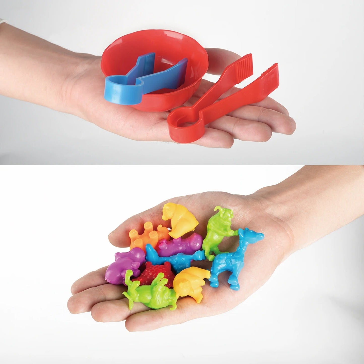 Sorting Animal - Montessori Game Set