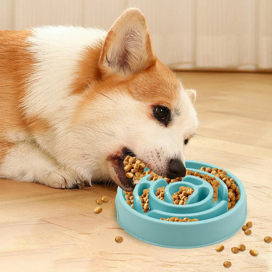 Slow Feed Pet Bowl
