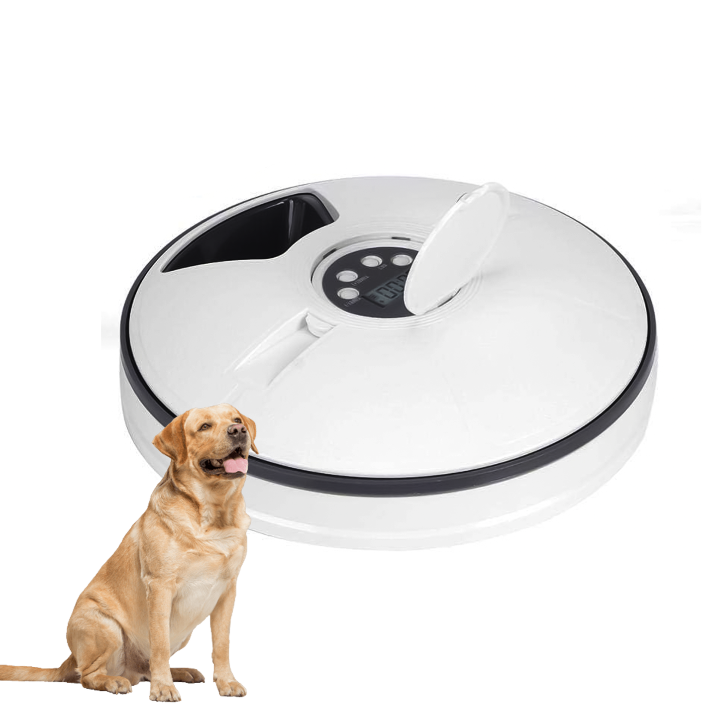 Timed Pet Feeder – Automatic & Scheduled Meal Dispenser for Healthy Pet Feeding